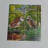 Bloc de 2 timbre &bdquo;Bufnițe / Păsări ale lumii&rdquo; (Birds of the World) emis de Malawi &icirc;n anul 2011 CTO, Stampilat