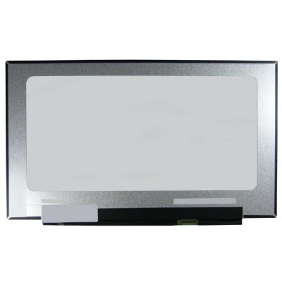 Ecran pentru MSI GE75 RAIDER MS-17e2 foto