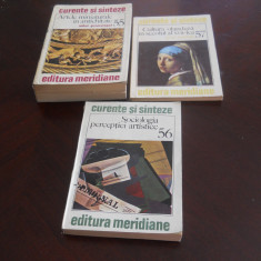 SET 3 volume arta -Artele miniaturale, Sociologia perceptiei si Cultura olandeza