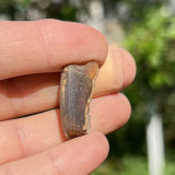 Chihlimbar din indonezia cristal natural unicat a55, Stonemania Bijou