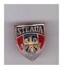 Insigna cu pin Steaua Bucuresti, stare buna, Romania de la 1950
