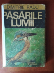 PASARILE LUMII - DIMITRIE RADU foto