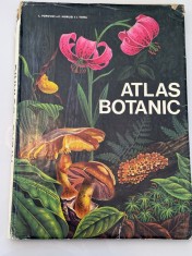 Atlas botanic - L.Popovici, C.Moruzi , I.Toma 1994