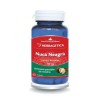 NUCA NEAGRA 60CPS, Herbagetica