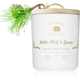 DW Home Farmhouse Winter Mint &amp; Spruce lum&acirc;nare parfumată 244 g