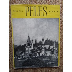 Muzeul Peleș Sinaia
