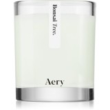 Aery Botanical Bonsai Tree lum&acirc;nare parfumată 200 g