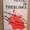 Revolt in Treblinka / Samuel Willenberg