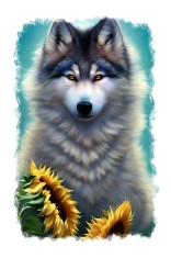Sticker decorativ, Lup, Gri, 85 cm, 6960ST foto