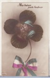 bnk cp Franta - Felicitare - patriotica - WWI - necirculata