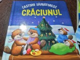 Castorii sarbatoresc Craciunul