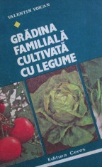 Gradina familiala cultivata cu legume - Valentin Voican foto