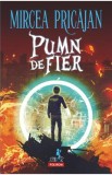 Pumn-de-Fier - Mircea Pricajan