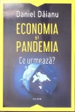ECONOMIA SI PANDEMIA. CE URMEAZA?-DANIEL DAIANU-349947
