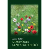 Szemelv&eacute;nyek a K&aacute;rp&aacute;t-medenc&eacute;ből - Luczay Zolt&aacute;n
