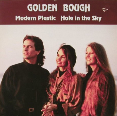Vinil Golden Bough &amp;lrm;&amp;ndash; Modern Plastic / Hole In The Sky 45 RPM (VG+) foto