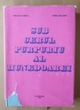 Neculai Chirica; Viorel Răceanu - Sub cerul purpuriu al Hunedoarei