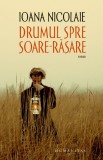 Drumul spre Soare-Rasare - Ioana Nicolaie