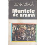 MUNTELE DE ARAMA-ELENA MATASA-157923