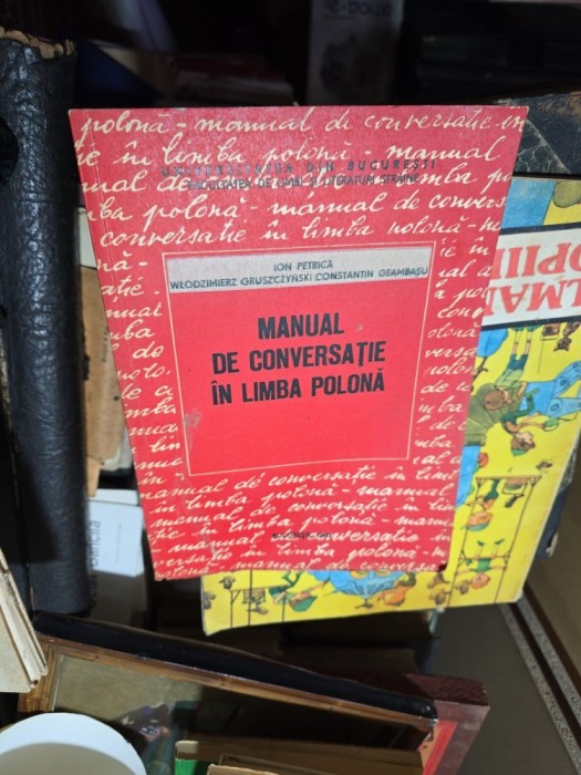Manual de conversație &icirc;n limba polonă - Ion Petrică, Włodzimierz Gruszczyński, Constantin Geambașu