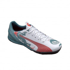 Ghete fotbal barbati Puma Evospeed 4.3 Graphic TT Alb 46 foto