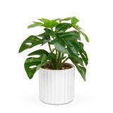 Planta artificiala decorativa - Filodendron verde - 20 x 8 cm Best CarHome