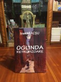 Ioan NEACSU - Oglinda retrovizoare. Eseuri (2016, cu autograf!) - Ca noua!