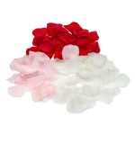 Petale trandafiri pentru activitati crafts-200 bucati, Oem