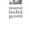 Claudiu Soare, Neantul indragostit