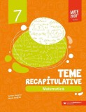 Matematică. Teme recapitulative. Clasa a VII-a - Paperback brosat - Anton Negrilă, Maria Negrilă - Paralela 45 educațional, Clasa 7, Matematica