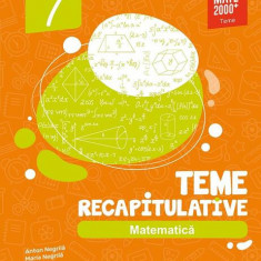 Matematică. Teme recapitulative. Clasa a VII-a - Paperback brosat - Anton Negrilă, Maria Negrilă - Paralela 45 educațional
