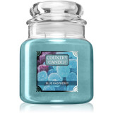 Country Candle Blue Raspberry lum&acirc;nare parfumată 453 g