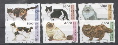 Guinea 1996 Cats Mi.1603-08 used DE.112 foto
