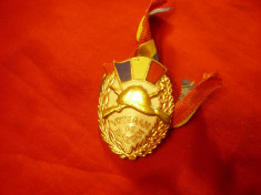 Insigna - Insemn - Veteran de Razboi cu panglica Tricolora , h=3,6cm foto
