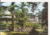 Carte Postala veche - Slanica Moldova - Vedere din parc, necirculata