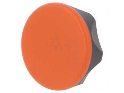 Buton de reglare 70mm ERGOSTYLE&amp;reg; Filet M10 H: 35mm foto