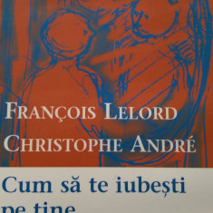 Cum sa te iubesti pe tine Christophe Andre, Francois Lelord 2003