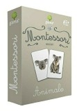 Cumpara ieftin Montessori. Asocieri. Animale