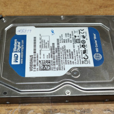 HDD PC Western Digital 80GB Sata Sentinel 100% #A5319