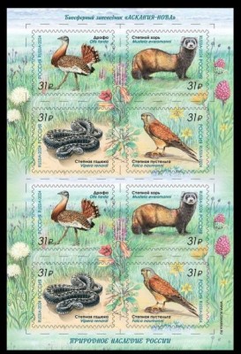 RUSSIA 2024 FAUNA PASARI MAMIFERE REPTILE foto