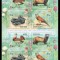 RUSSIA 2024 FAUNA PASARI MAMIFERE REPTILE
