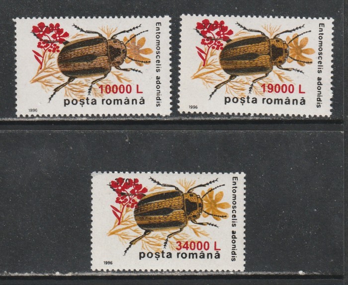 Romania 2000 - #1516 Insecte II 1996 Supratipar &quot;Floare de Mustar&quot; 3v MNH