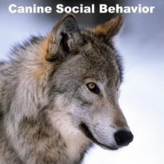 The Evolution of Canine Social Behavior