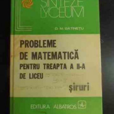 Probleme De Matematica Pentru Treapta A Ii-a De Liceu Siruri - D. M. Batinetu ,542007