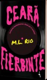 Ceară fierbinte - Paperback brosat - M.L. Rio - Alice Books