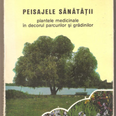 Peisajele Sanatatii-plante medicinale in decorul parcurilor si gradinilor