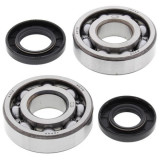 Cumpara ieftin Lagare cu arbore cotit set cu garnituri pentru KAWASAKI KXT 250 1984-1987