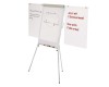 FLIPCHART MAGNETIC YOUNG EDITION PLUS 2 BRATE LATERALE 70x100 cm, MAGNETOPLAN