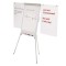 FLIPCHART MAGNETIC YOUNG EDITION PLUS 2 BRATE LATERALE 70x100 cm, MAGNETOPLAN