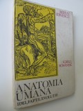 Anatomia umana idei , fapte , evolutie - Mihai Ionescu